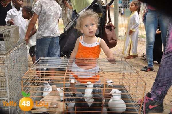 kidrawdaanimals510 (12).JPG